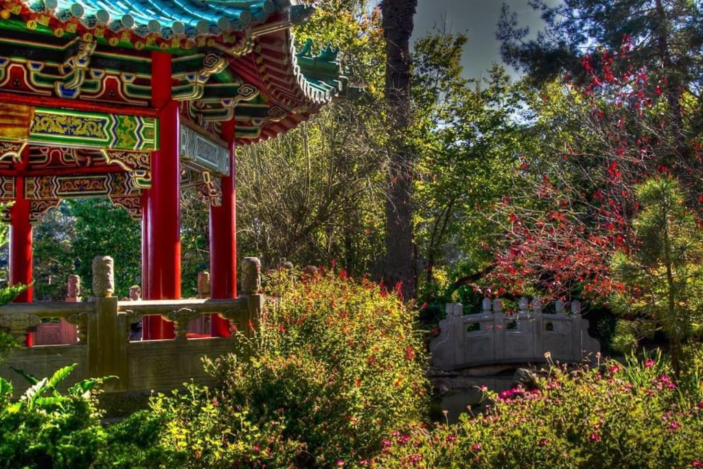 Appartamento Golden Gate Park Sweet Home-2 Bedrooms San Francisco